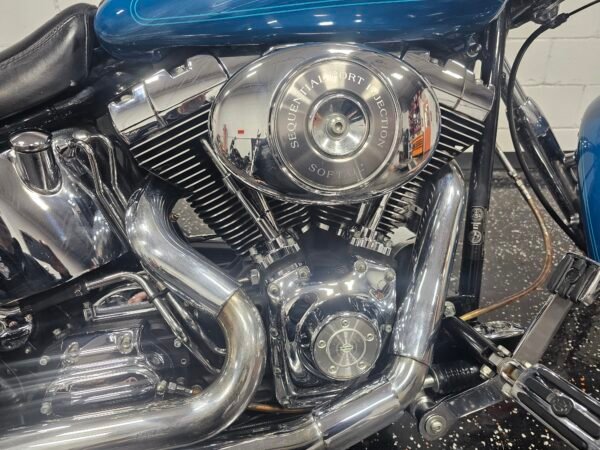 2001 Harley Davidson Softail Deuce (Copy) - Image 13