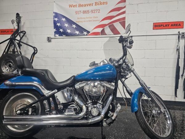 2001 Harley Davidson Softail Deuce (Copy)
